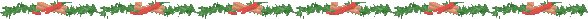 2993.jpg
