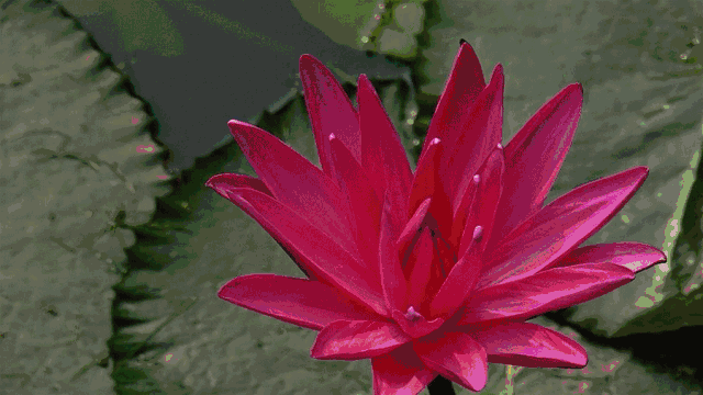 7ff1312ec0354a86b4ab78ece360d3a9.jpg