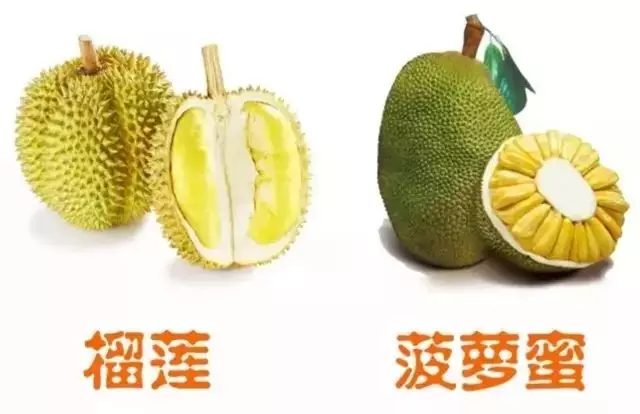 51166f245e7e45d4965ff11d2187b83a.jpg